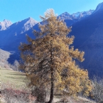 panorama montagna